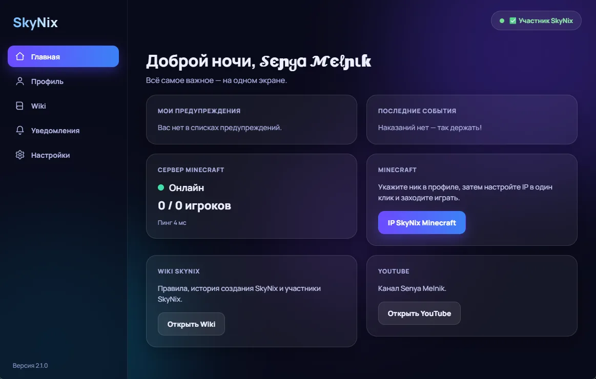 Интерфейс приложения SkyNix